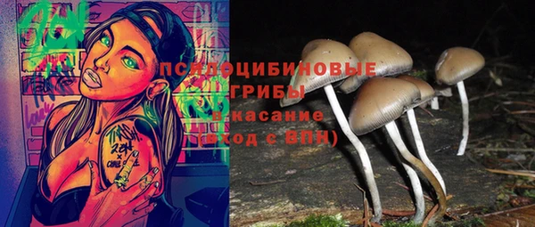 спайс Белокуриха