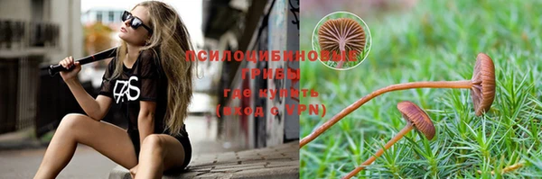 спайс Белокуриха